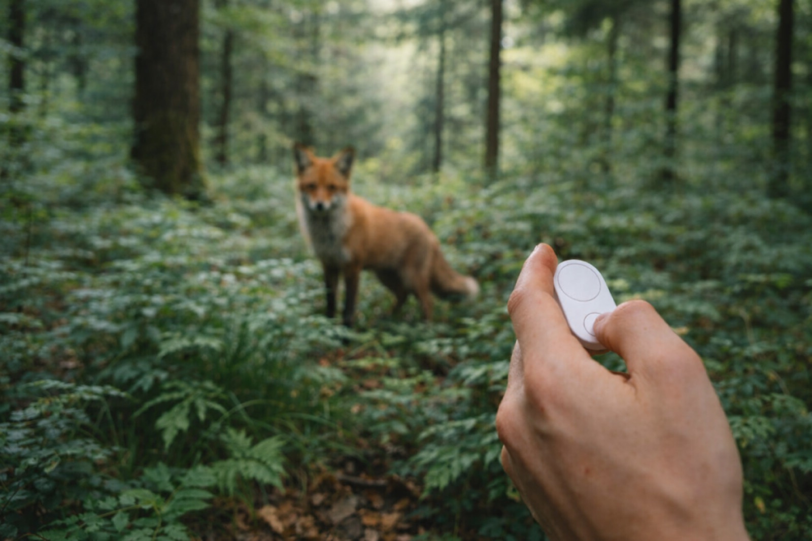 A Fable Forestry user with a Flic button on their work clothing.